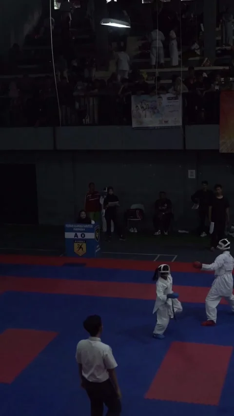 Competition of karate Stock Footage 254455431