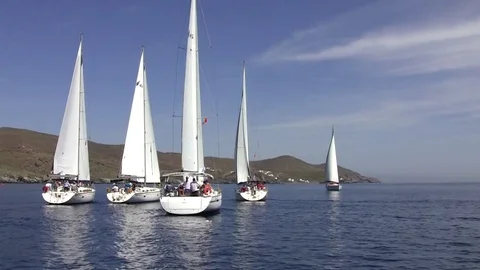 Competition sailing yachts Stock Footage 77806376