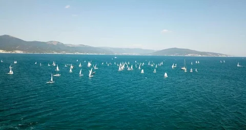 Competition on small yachts under sail on the Black Sea in Novorossiysk. Aerial Stock Footage 121487881