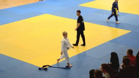 Competitions Judo Stock Footage 130230563
