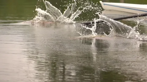 Competitions in rowing. Paddle in the water. Water splashes. Stockbeeldmateriaal 77145901