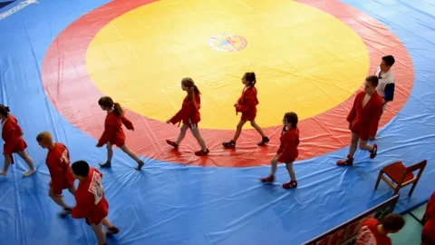 Competitions Sambo Stock Footage 131407628