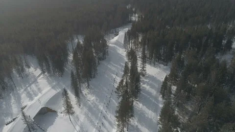 Competitions in skiing Видео 88086429