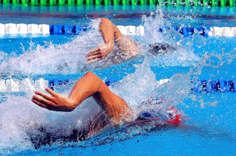 Competitions on swimming Fotos Stock