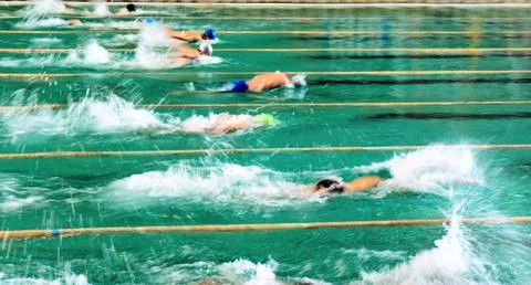 Competitions in swimming pool Foto stock