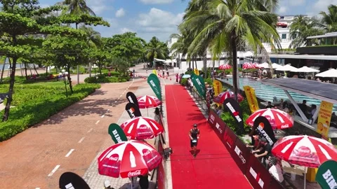Competitive cycling event taking place on a scenic coastal route with palm trees Stock Footage 299159461