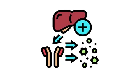 Complement system color icon animation Stock Footage 224036487
