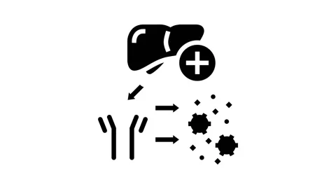 Complement system glyph icon animation Stock Footage 222815427