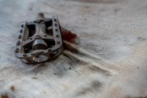 Complete bicycle of various models- Stock Photos