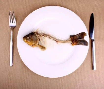Complete bone of whole fish on plate, abstract Stock Photos