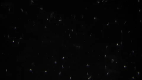 Complete examination of breedable sperm form and resilience in controlled lab Stock Footage 343948329