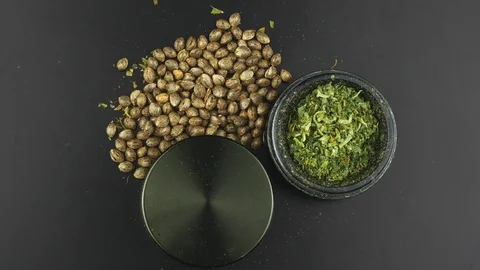 Complete grinder with grind marijuana and around are cannabis seeds. Stock Footage 126923421