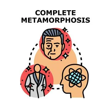 Complete metamorphosis process concept changing evolution development Stock Illustration