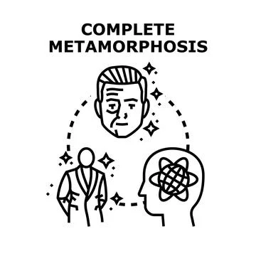 Complete metamorphosis process concept changing evolution development Stock Illustration