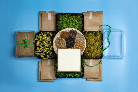 Complete microgreens growing kit is arranged in symmetrical cross pattern o.. Stock Photos