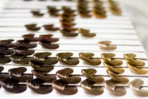 Complete set of locks of all the most used hair color samples, rounded shape Stock Photos