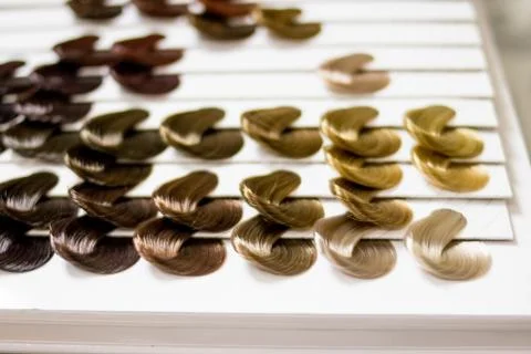 Complete set of locks of all the most used hair color samples, rounded shape Stock Photos