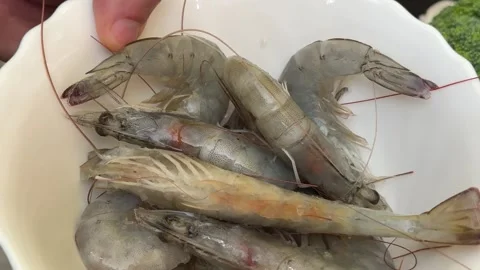 Complete shrimp cooking process from boiling water to serving on white plate 動画素材 345724907