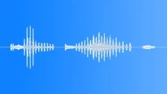CompleteSound Effect