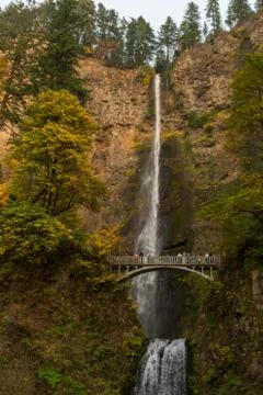 Complete view of both tiers of the Multnomah waterfall and the bridge between Stock Photos