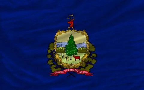 Complete waved flag of american state of vermont for background Stock Photos