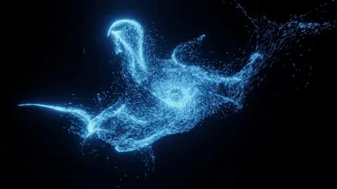 A Completely Black Image; Absence of Visual Information Stock Footage 299245006