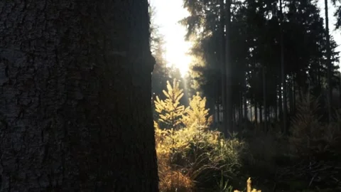 A completely black image; void of color, light, or content. Stock Footage 295748215