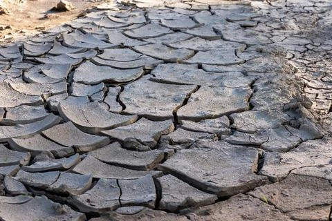Completely dried out and deeply cracked grey earth showing Foto stock