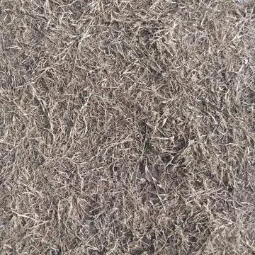 Completely dried out dead brown grass ground texture top down view Fotos de archivo