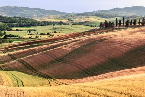 Complex and intricate landscaping of fields in Tuscany. Val d'Orcia, Italy Stock Photos