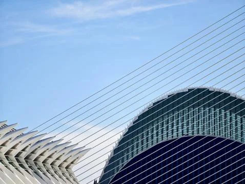 Complex architectural composition blending flowing curves and structured wires 写真素材