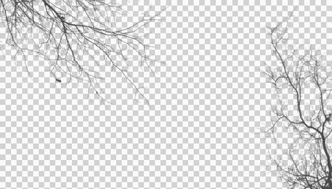Complex bare tree canopy corners isolated on transparent background Stock Illustration