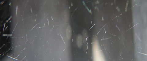 Complex cobweb structure on draft anamorphic 5.7K video Stock Footage 311499667