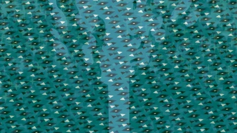 Complex Digital Flowing Shapes Visual Experience Stock Footage 328679419