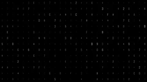 Complex Digital Patterns of Code Symbols on Dark Background in Abstract Displ Stock Footage 341377234