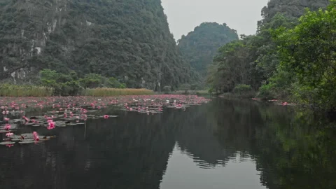 Complex Hoa Lu Tam Coc Bich Dong Bai Dinh temple Video stock 235012659