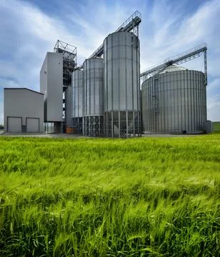 The complex includes metal silos for storage, norias for lifting grain Stock Photos