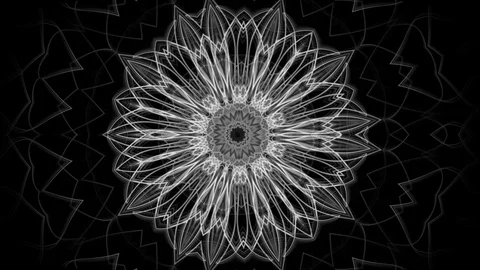 Complex mandala of a mystic flower pattern - seamless looping (FULL HD) 스톡 동영상 92939881