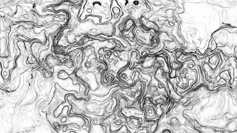 Complex Monochrome Fluid Cellular Abstract Ink Background Texture Stock Footage 331404525