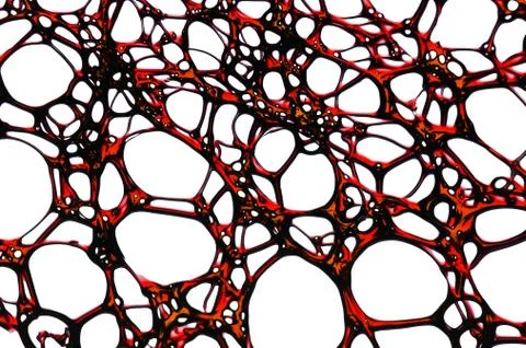 Complex mosaic grid, formed of thin line and shapes Stock Photos