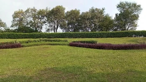 Complex park Stock Footage 243660924