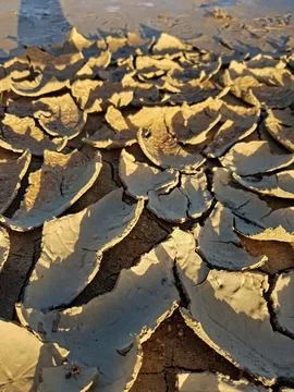 Complex patterns of cracked soil illustrate the harsh reality of landscapes Stock Photos