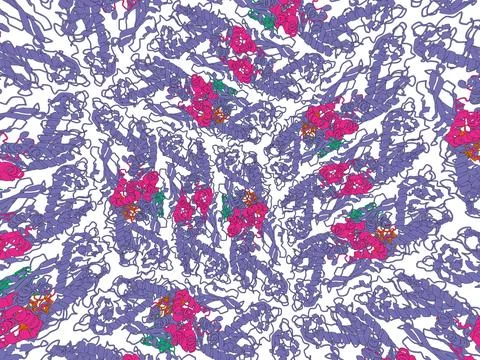 Complex Protein Network Visualization Illustrazione stock