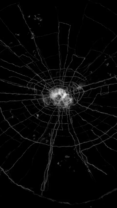 Complex spiderweb of cracks on broken gl | Stock Video | Pond5
