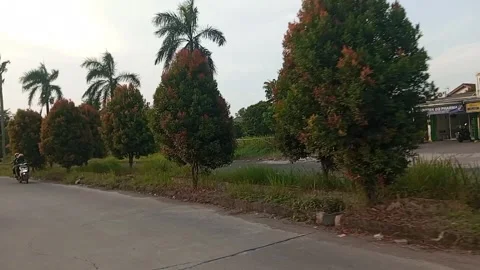 Complex street Stock Footage 243572830