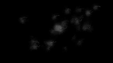 Complex vapors 2 Stock Footage 95584475