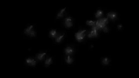 Complex vapors 3 Stock Footage 95585567