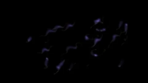 Complex vapors 4 動画素材 95586259