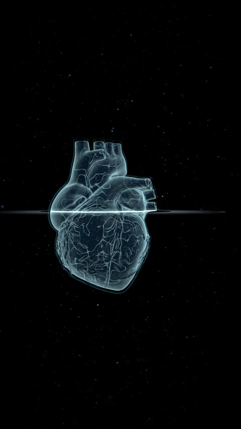 Complex Vascular Network Scan, Vertical Video 9:16 4K Stock Footage 336363320