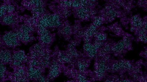 Complexly moving purple and blue fractal noise Stock Footage 332183094